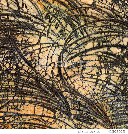 Leather texture. Worn and weathered colored fragment 41502025