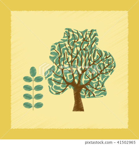 flat shading style Illustrations plant Acacia 41502965