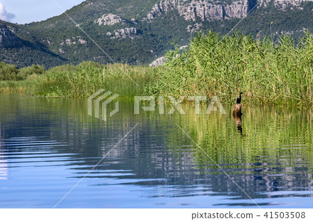 Skadar Lake National Park, Montenegro Skadar Lake National Park, Montenegro 41503508