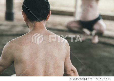 sumo, sumo wrestling, training 41504349
