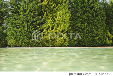 blue water in the pool on the background of a wooden floor with green tree 41504550