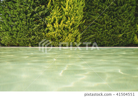 blue water in the pool on the background of a wooden floor with green tree 41504551