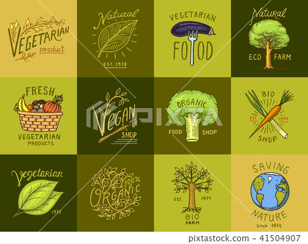 Healthy Organic Food Logos Set Or Labels And Stock