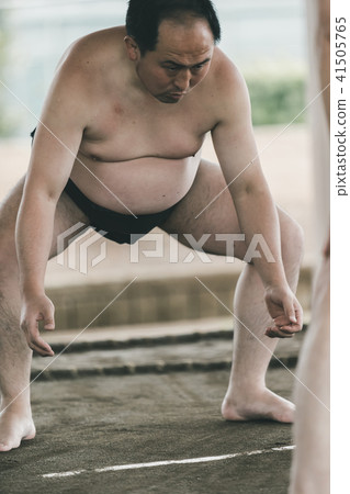 sumo, sumo wrestling, training 41505765