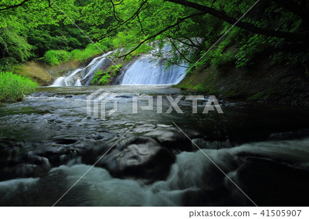 Kamabuchi瀑佈在夏天 Kamabuchi瀑佈在夏天 41505907