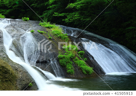 Kamabuchi waterfall in the summer 41505913