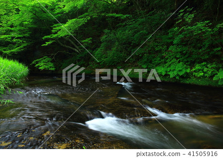 Kamabuchi waterfall in the summer 41505916