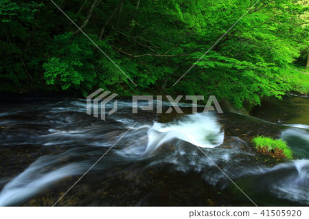 Kamabuchi waterfall in the summer 41505920