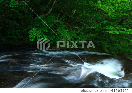 Kamabuchi waterfall in the summer Kamabuchi waterfall in the summer 41505921