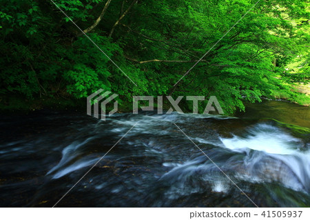 Kamabuchi waterfall in the summer 41505937