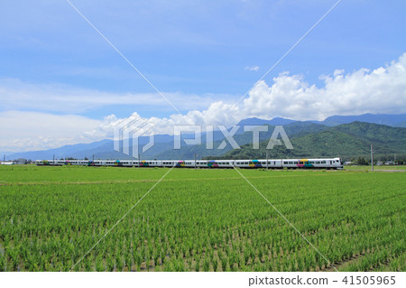 初夏的Ozo線 初夏的Ozo線 41505965