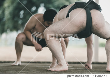 sumo, sumo wrestling, training 41506445