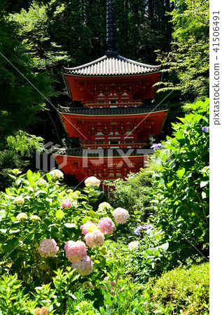 Iwafuneji Triple Tower 41506491