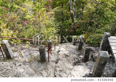 Mikumi Shrine Okugi Shiba 41506498