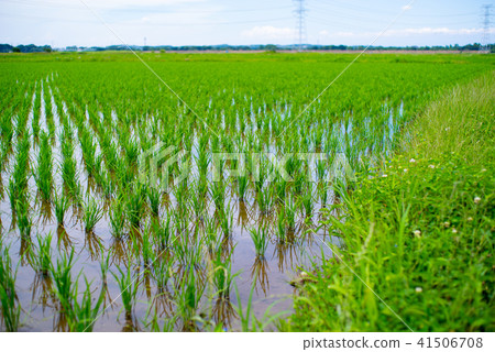 6月6月的雨季雨季清除a-2背景模糊 41506708