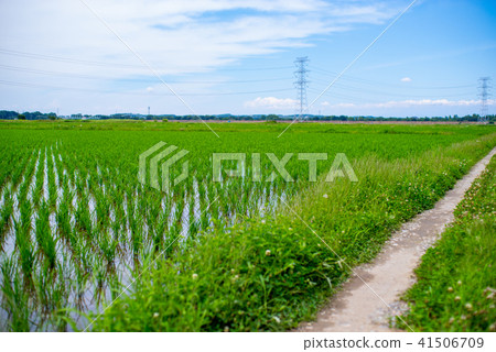 雨季的雨季在雨季b-1背景模糊在艦隊前面 41506709