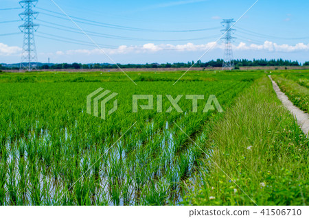 在雨季的雨季b-2在波希米亞前面的背景迷離的雨季 41506710