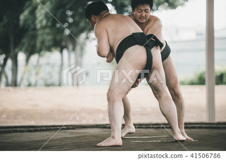 相撲 研修 訓練 41506786