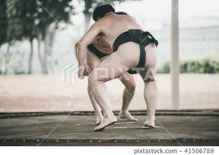 相撲 努力 措施 41506789