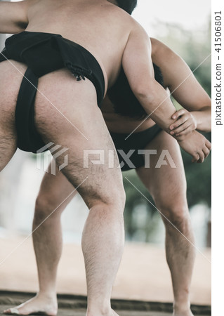 相撲 努力 措施 41506801