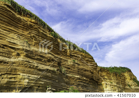 Dover of Senbogaura Oriental Dover of Senbogaura Oriental 41507010