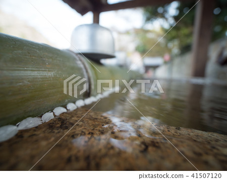 Amano-san Kaneyugakuji Fangkei Requested Cherry Blossoms Amano-san Kaneyugakuji Fangkei Requested Cherry Blossoms 41507120