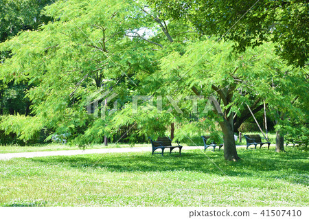 Park lawn and fresh green Park lawn and fresh green 41507410
