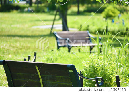 Park lawn and bench Park lawn and bench 41507413