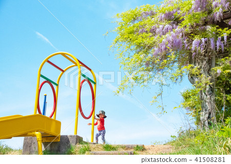 Wisteria with a wisteria and an airborne cloud and a boy 1 Wisteria with a wisteria and an airborne cloud and a boy 1 41508281