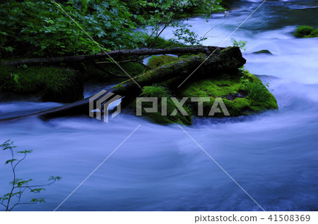Oirase stream 41508369