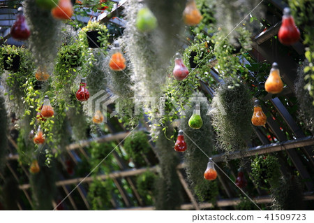 治療花園 治療花園 41509723