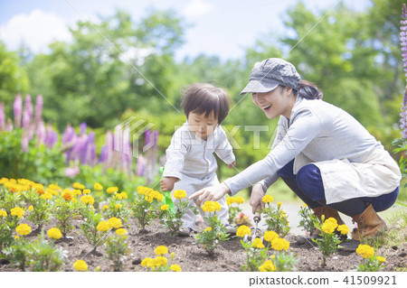 Parent and child gardening Parent and child gardening 41509921