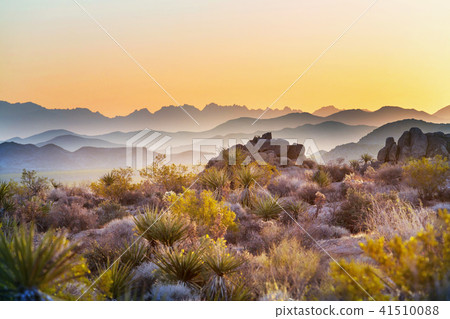 American landscapes American landscapes 41510088