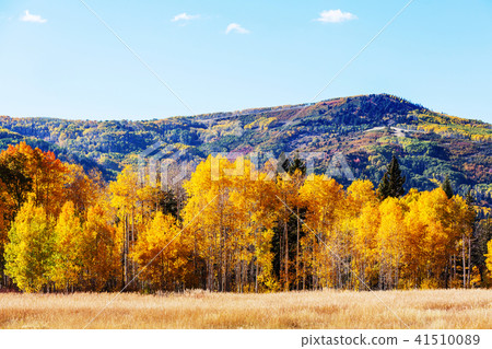 Autumn season Autumn season 41510089