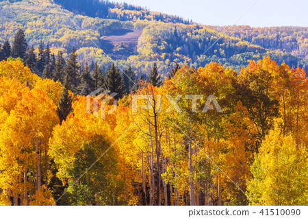 Autumn season Autumn season 41510090