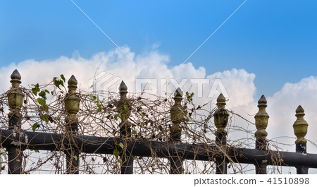 outdoor outdoor 41510898