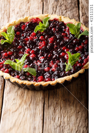 delicious tart with currant berries, cranberries 41511151