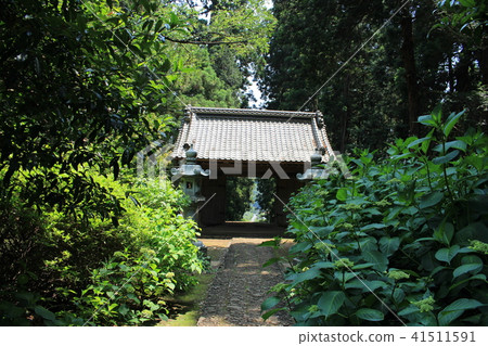 初夏的Taiheiyama Daishonji(Yamamon) 初夏的Taiheiyama Daishonji(Yamamon) 41511591