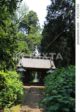 初夏的Taiheiyama Daishonji（Yamamon） 41511592