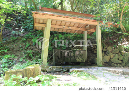 六本山神社的方法（繡球花途中的繡球花） 41511610