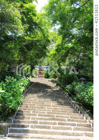 六本山神社(繡球花)的方法 六本山神社(繡球花)的方法 41511613