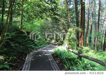 Taiheiyama的長廊（Kenshinpyo到Renjosan） 41511628