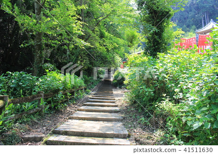 Taiheiyama長廊(Renjosan的Kenshinpyo) Taiheiyama長廊(Renjosan的Kenshinpyo) 41511630