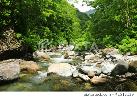 通往Horodate dake mountaintop的道路在Nakafawa Ozawa周圍散步 41512139