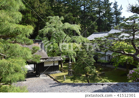 Law Tama Tadashi Eiji寺 41512301