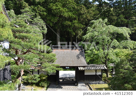 Law Tama Tadashi Eiji寺 41512303