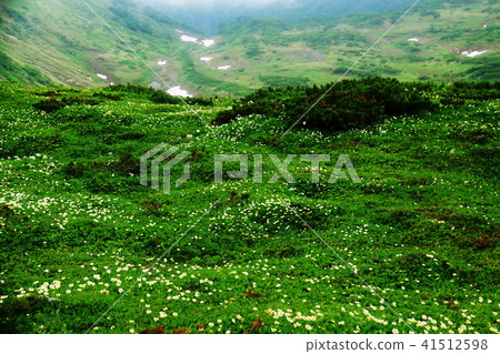 通往Horodate dake mountaintop的道路在Nakafawa Ozawa周圍散步 41512598