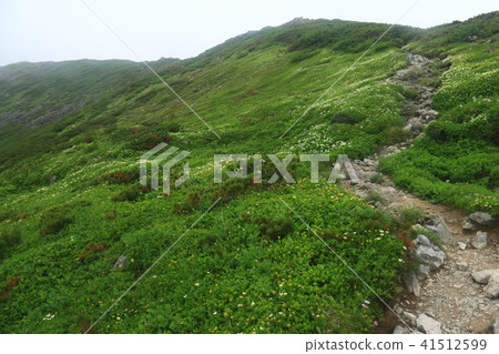 通往Horodate dake mountaintop的道路在Nakafawa Ozawa周圍散步 41512599