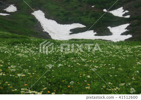 通往Horodate dake mountaintop的道路在Nakafawa Ozawa周圍散步 41512600