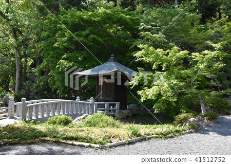 Law Tama Tadashi Nagashima Fudo Imoezo City Law Tama Tadashi Nagashima Fudo Imoezo City 41512752